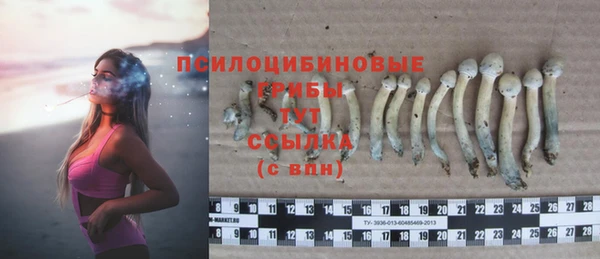молекула духа Касимов