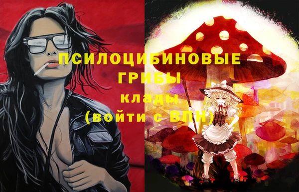 молекула духа Касимов