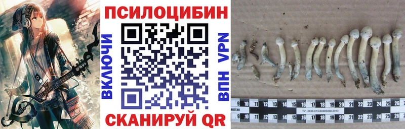 Купить закладки  Когалым  Галлюциногенные грибы ЛСД 